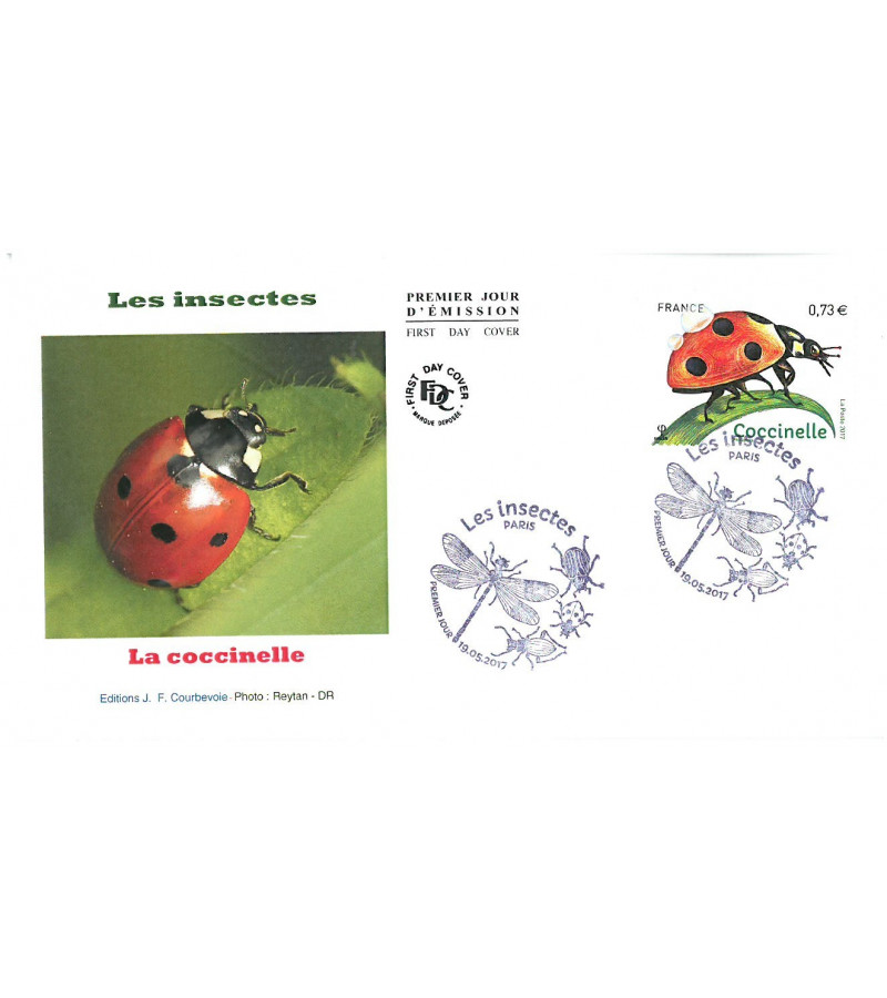 INSECTE COCCINELLE