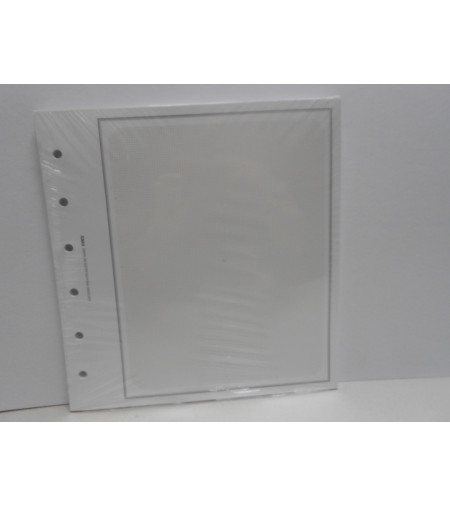 Feuilles quadrillées (qualité Louvre 170 g) par 10