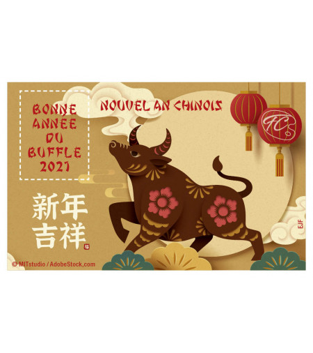 FEUILLET COMMEMORATIF ANNEE DU BUFFLE 2021