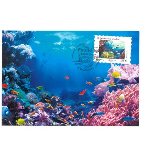 EUROPA 2024 - FAUNE SOUS-MARINE