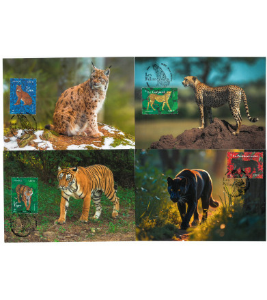 LES FELINS