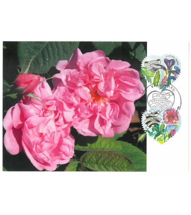 COEURS 2026 AUTOCOLLANTS